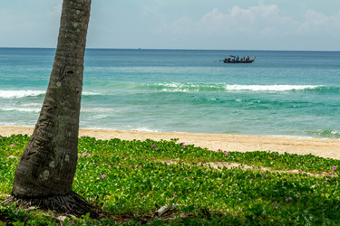 Similar image 12688011