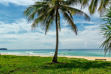 Similar image 12688012