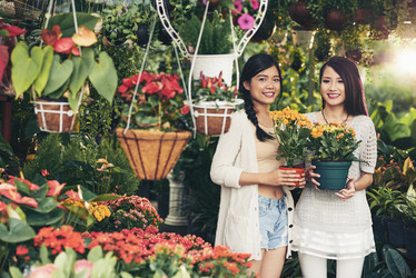 Similar image 12490194