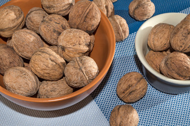 Similar image 12489747