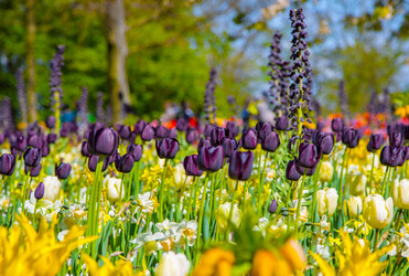 Similar image 12506560