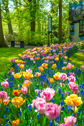 Similar image 12506599