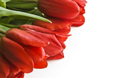 Similar image 12489750