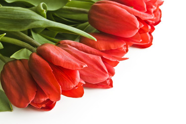 Similar image 12489751