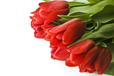 Similar image 12489773