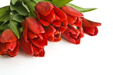 Similar image 12489774