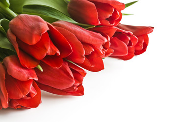 Similar image 12489775