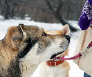 Similar image 12504696