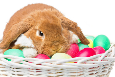 Similar image 12582216