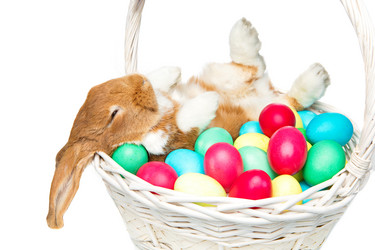 Similar image 12582219