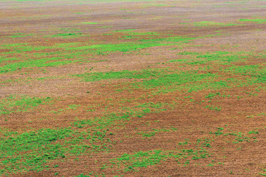 Similar image 12582680