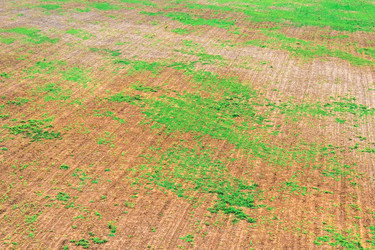 Similar image 12582681