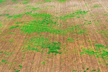 Similar image 12582682