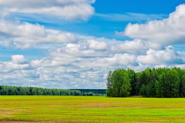 Similar image 12582684