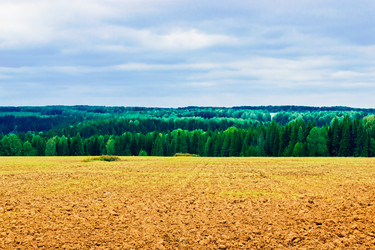 Similar image 12582716