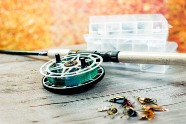 Similar image 12547901