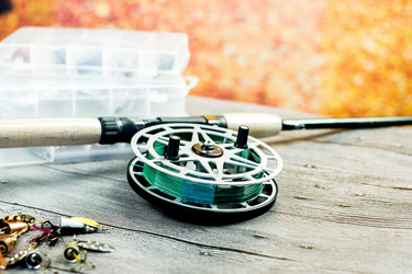 Similar image 12547909