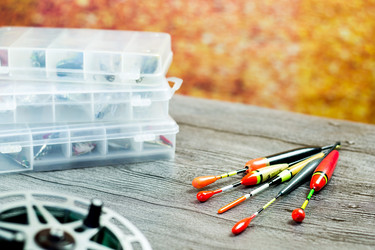 Similar image 12547929