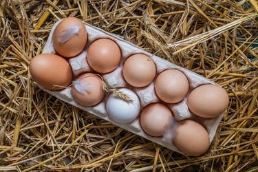 Similar image 12581051