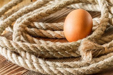 Similar image 12581055