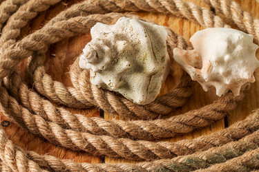 Similar image 12581056