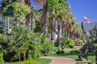 Similar image 12580890