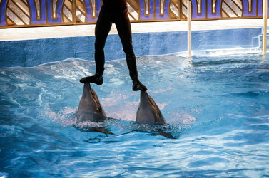 Similar image 12580891