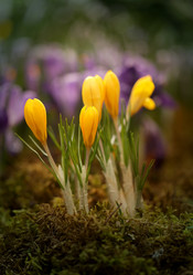 Similar image 12687444