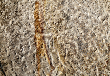 Similar image 12687445