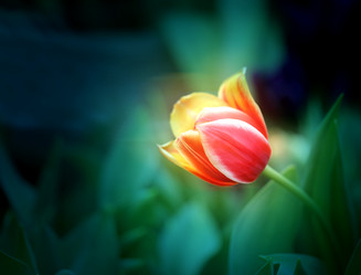 Similar image 12687446