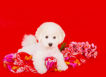 Similar image 12504935