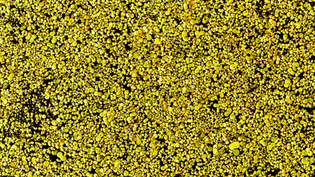 Similar image 12619642