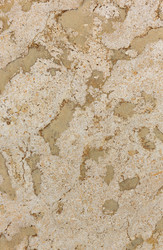 Similar image 12580030