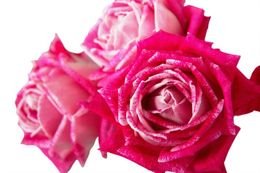 Similar image 12688158