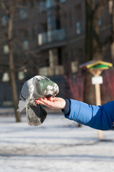 Similar image 12584607