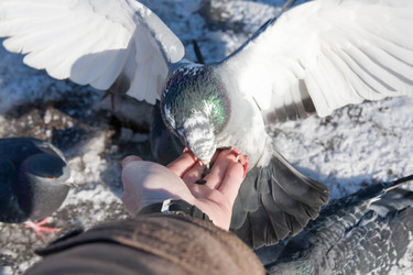 Similar image 12584625