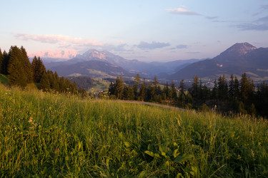 Similar image 12687318