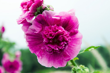 Similar image 12583275