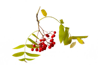 Similar image 12583277