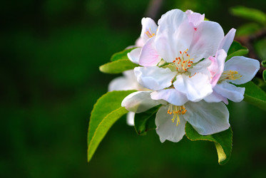 Similar image 12489697