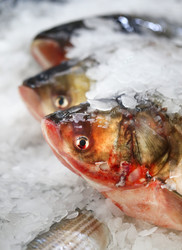 Similar image 12687474