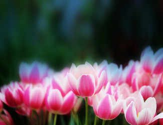 Similar image 12687477