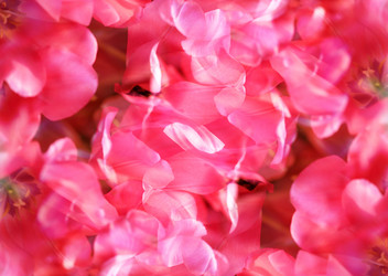 Similar image 12687478