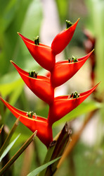 Similar image 12687387