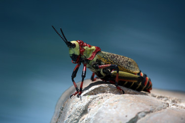 Similar image 12583064