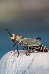 Similar image 12583065