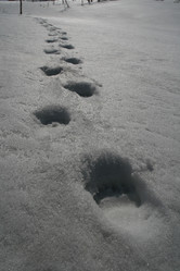 Similar image 12583082