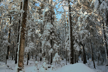 Similar image 12583083