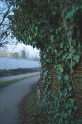 Similar image 12579696