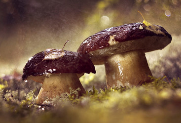 Similar image 12580546